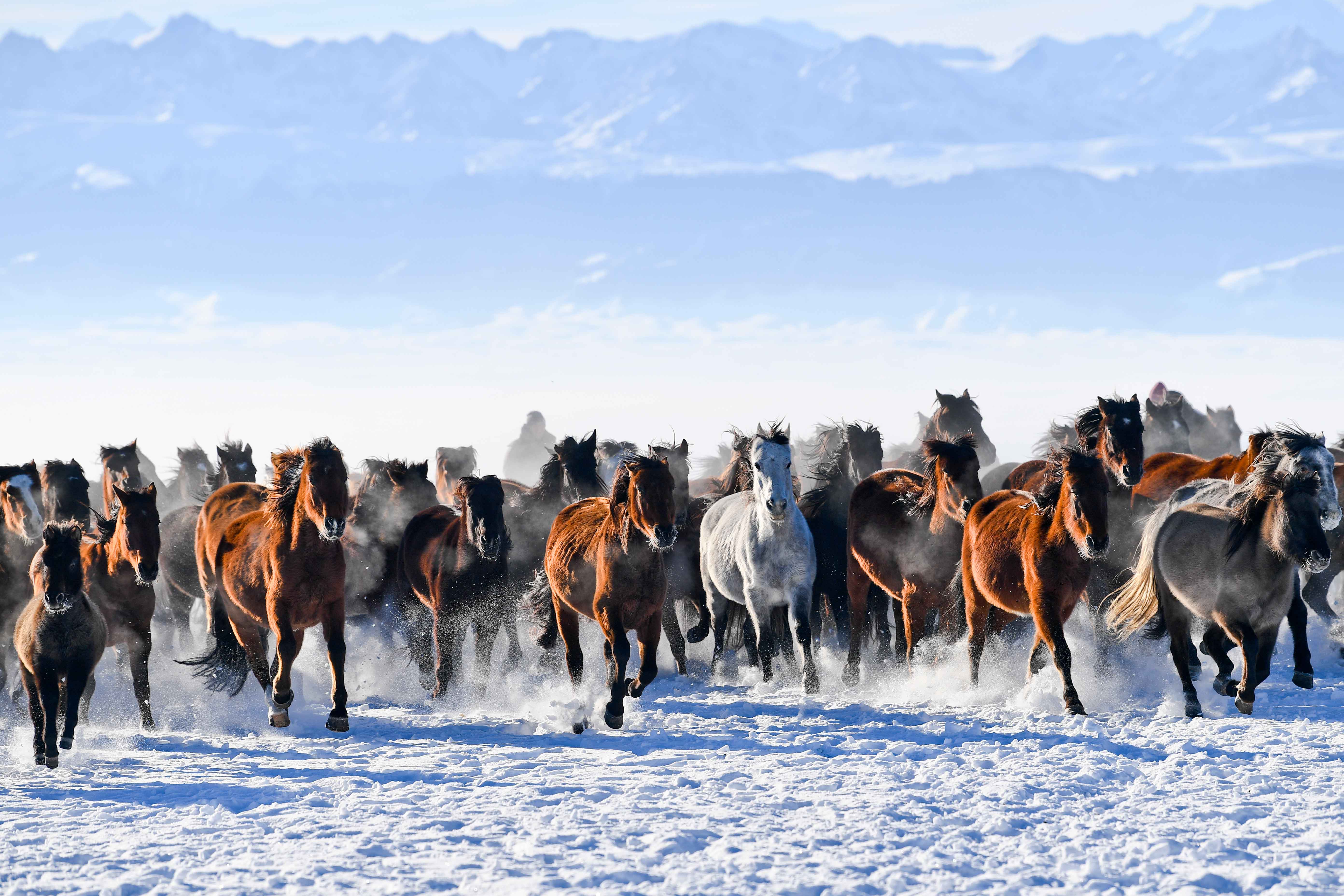 天马之城·地标之旅